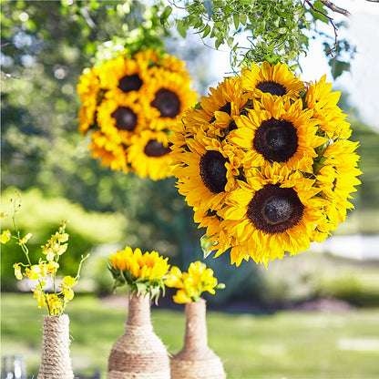 Sublime Garden Hanging Arrangement –  Le Bloom Floral, Le Mars IA