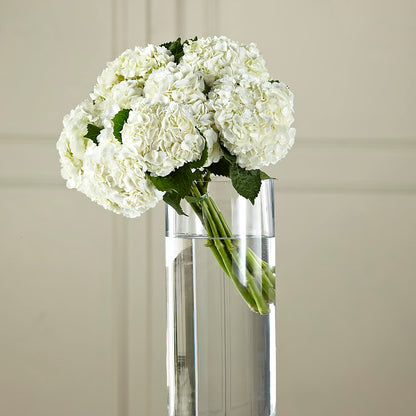 White Hydrangea Hand-Tied Bouquet –  Le Bloom Floral, Le Mars IA