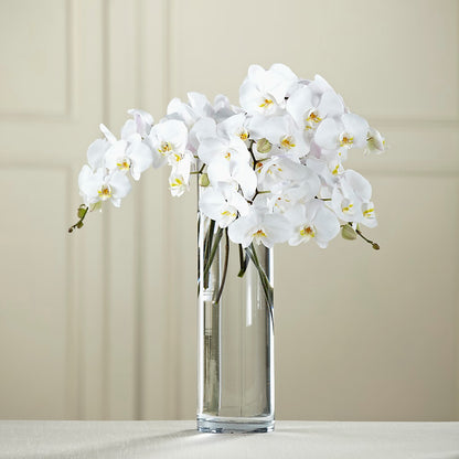 White Phalaenopsis Bouquet –  Le Bloom Floral, Le Mars IA