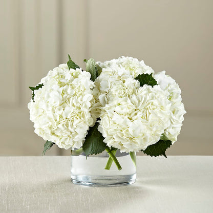 White Hydrangea Bouquet –  Le Bloom Floral, Le Mars IA